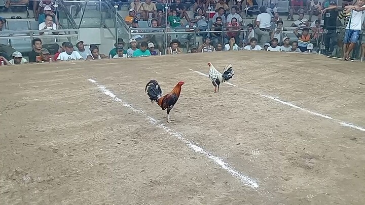SF d nalaban ung isa