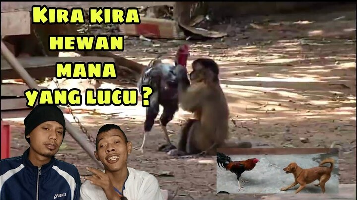 Reaction Video Lucu Hewan Hewannya Bikin Greget !!! Mau Ketawa Tapi Susah