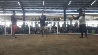 super 2hits champion Dan gray Rh.(2)