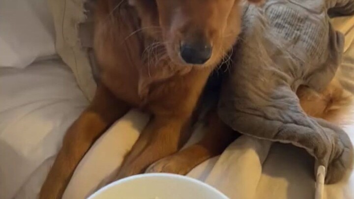 Hy vọng có thể làm dịu nỗi đau của cô ấy.