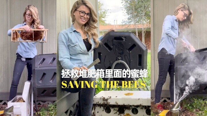 Save the bees in your compost bin 🐝