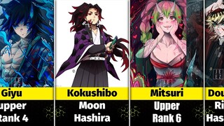 What If Demon Slayer Characters Roles were Switched || VibeComparison