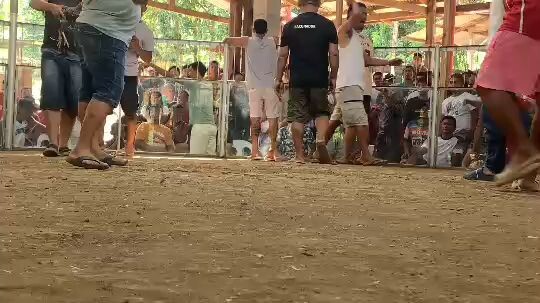 pokpokpaldo