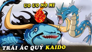 ( One Piece 999 ) - Kaido thức tỉnh tiến hóa Trái ác quỷ Uo Uo no Mi - Cá Koi hóa rồng như thế nào ?