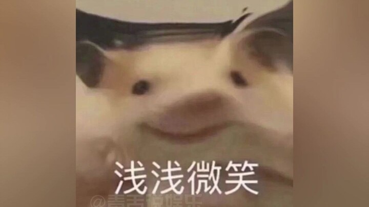 ลุง: ฉันไม่รู้มาก่อนนี่เอง