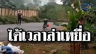 ดำสะมอสโต๊ดและเมียของเขา ได้ออกล่าเหยื่อในตอนเช้า @Awesome Videos