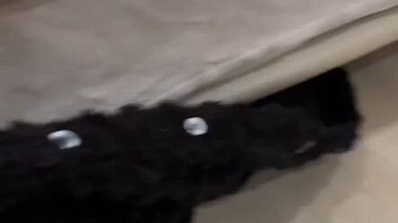 Từ khi nuôi mèo đen, ngày nào tôi cũng nghi ngờ bản thân mình bị mù.