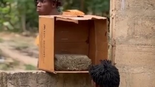 天下没有免费的午餐，有的话谁都不用上班了，谨防上当受骗祝咪吃谷愉快