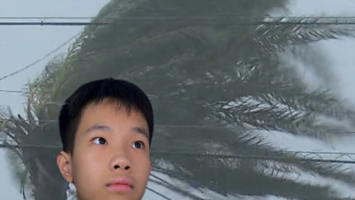 摩羯台风登录现状