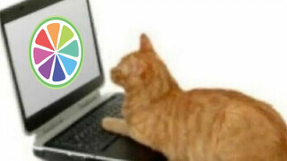 วิธีสร้างแอนิเมชั่นโดยใช้สิ่งไร้สาระนี้ sai2