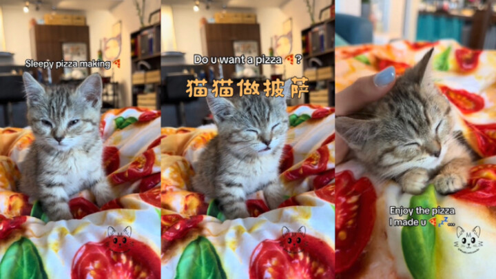 แมวน้อยทำพิซซ่าให้คุณ