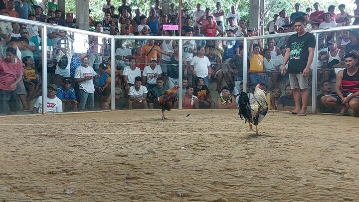 win mayahin 😊