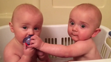 ทารกฝาแฝดตลกต่อสู้กับจุก - วิดีโอเด็กฝาแฝด