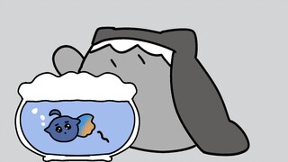 鲨鲨猫夏天也要喝水