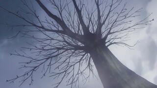 black clover episode 1