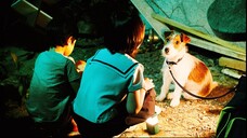 How to Steal a Dog | Korean Movie | 2014 | English Sub