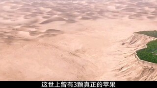 天使与恶魔奉旨约会六千年"