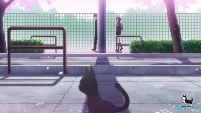 KOMMI CAN NOT COMMUNICATE S1 EP 1 HINDI DUB (480P)