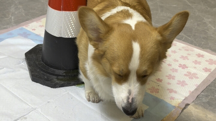 The ingenious use of roadblocks