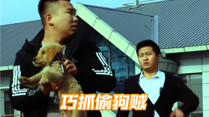 巧抓偷狗贼
