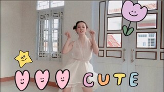 Cô mèo xinh xắn