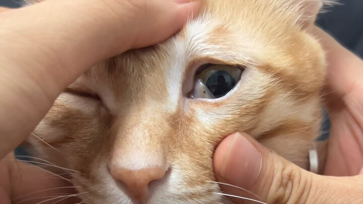 Mắt trái quên em, mắt phải nhớ em.