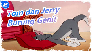 Tom dan Jerry | Permainan Terbalik: Apa yang Akan Terjadi Jika - Burung Genit (1945)_B2