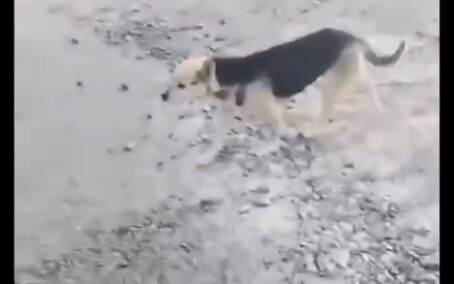 นักศึกษามหาวิทยาลัยสมัยนี้เล่นเก่งจริงๆ