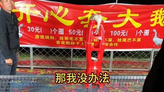 套了三四年的圈从来没有失手过，今天被大鹅上了一课