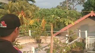 SUKA HERAN DENGAN CURHATAN ISTRINYA ORANG
