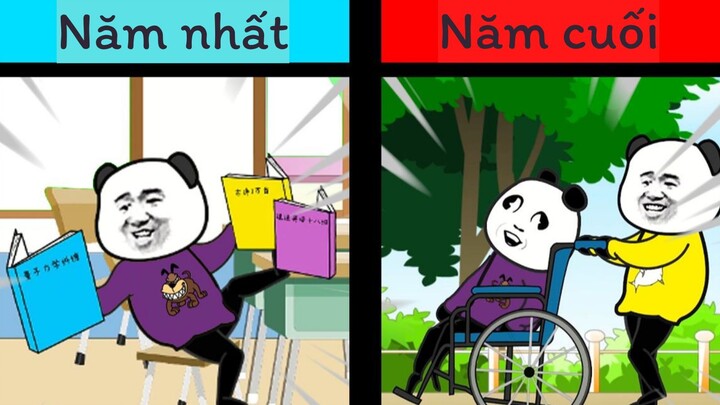 GẤU HÀI HƯỚC: Khác nhau giữa năm nhất và năm cuối