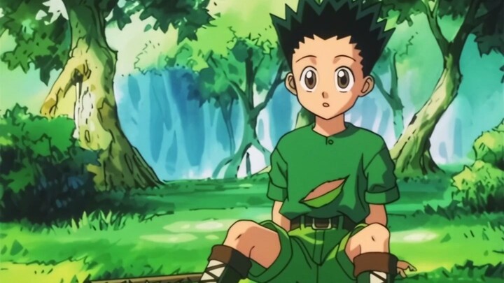 Hunter x Hunter (1999) Episódio 1  (Dublado PtBr)
