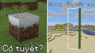 Những Thứ SIÊU HIẾM Trong Minecraft Mà Có Thể Các Bạn Chưa Nghe Đến Bao Giờ - Xương Rồng 22 Block!