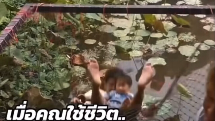 第10000届全球搞笑大赛谁赢了？