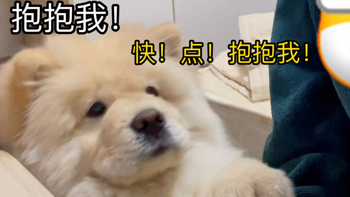 Nih, lihat nih tiap hari aku manja kayak apa, malu nggak sih, nak? Langsung melompat dan merengek mi