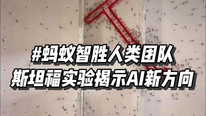 Manusia Kalah? Kecerdasan Kolaboratif Semut Ungkap Arah Baru dalam Pengembangan AI