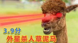 3.9分奇作，杀人草泥马，恐怖片让我笑出了猪叫