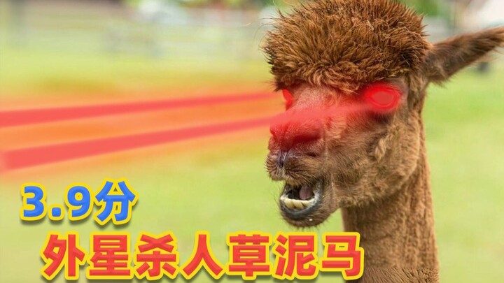 ผลงานสุดแปลก 3.9 คะแนน ต้นไม้ฆาตกร หนังสยองขวัญทำให้ฉันหัวเราะจนเหมือนหมูร้อง