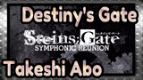 [Destiny's Gate] Takeshi Abo| Symphony Reunion Of Destiny's Gate_B
