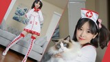 [⑨Karya ulang tahun kucing Ming] Bisakah Nona Perawat menyembuhkanmu dalam 45 detik ❤ [Film Kucing]