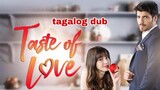 Taste Of Love Ep 24 Tagalog dub turkish drama
