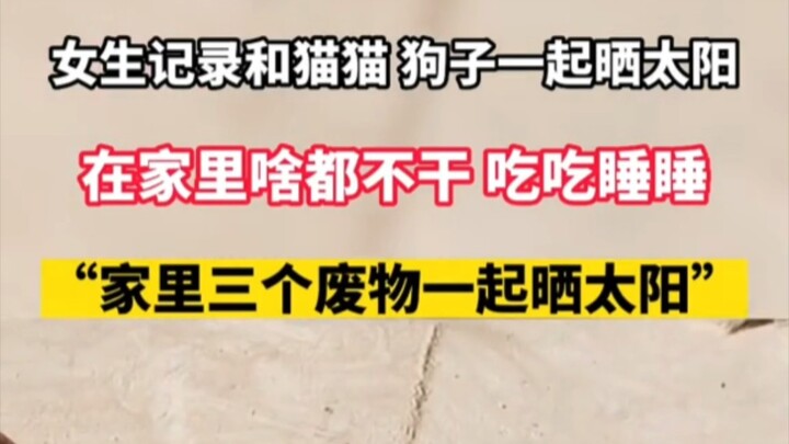 فتاة توثّق جلستها للاستمتاع بأشعة الشمس مع قطتها وكلبها، دون أن تفعل شيئًا في المنزل!