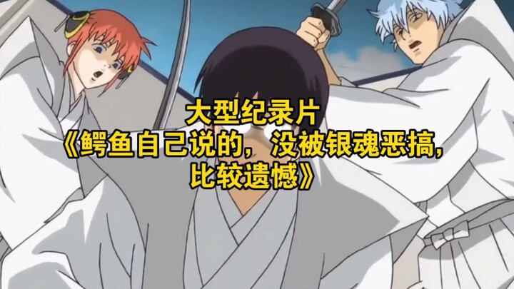 Bộ phim tài liệu quy mô lớn “Cá sấu tự kể, không bị Gintama chế nhạo, thật đáng tiếc”