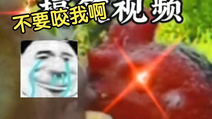 都是出来玩的，你伸舌头就过分了！