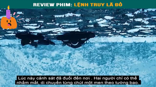 Phim : Lệnh truy nã đỏ -part2 #reveiwphim