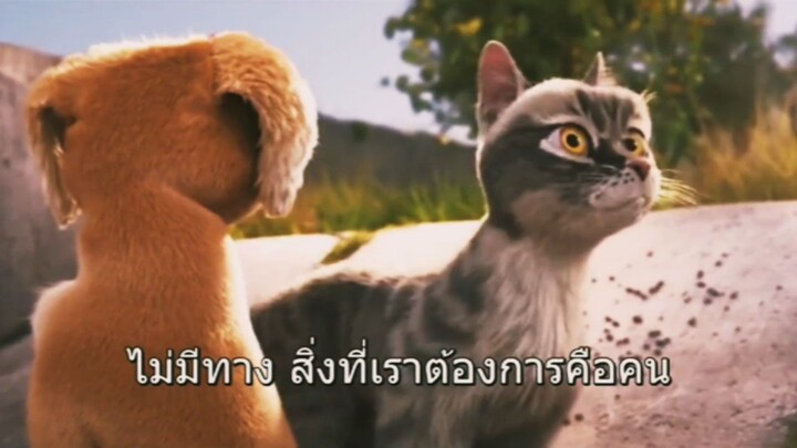 Gracie And Pedro Pets To The Rescue ซับไทย