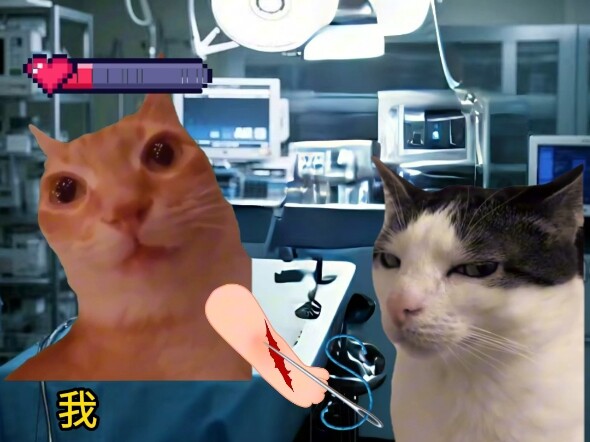 When you get hurt and have to go to the ER for stitches #CatMemeSketch #LaughEveryTimeYouWatch #Unex