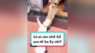 Lười lên sóng kênh này quá mọi người cho bố con tớ xin chút động lực chăm chỉ cày cuốc với nào. cunyeucuadua chó chócon chókhôn chócute chó_cưng chócon chókhôn chómèo xuhuong fyp