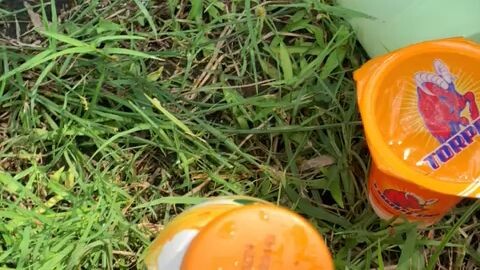 hiling di tepi bendungan 🤣🔥