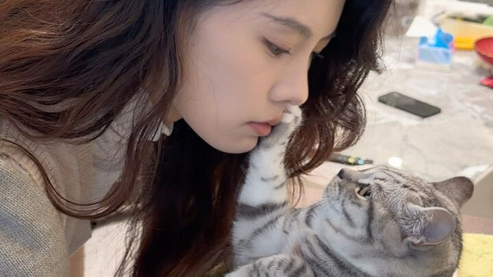 من المعروف أن اللحظات الجميلة للقطط الصغيرة لا يمكن التقاطها بسرعة.